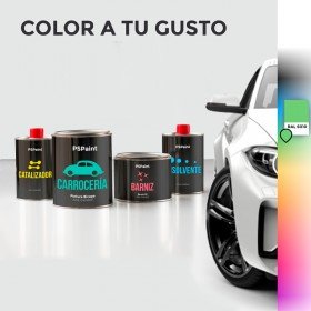 Pintura para coches - El garaje de Pintar Sin Parar - Pintar Sin Parar -  Superstore del color